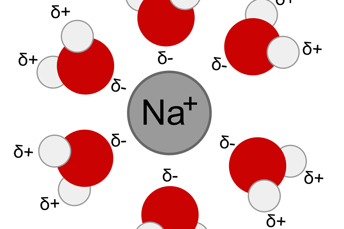 Катион ткань. Ионы na. Ион натрия. Гидратная оболочка ионов. Гидратированный катион натрия.
